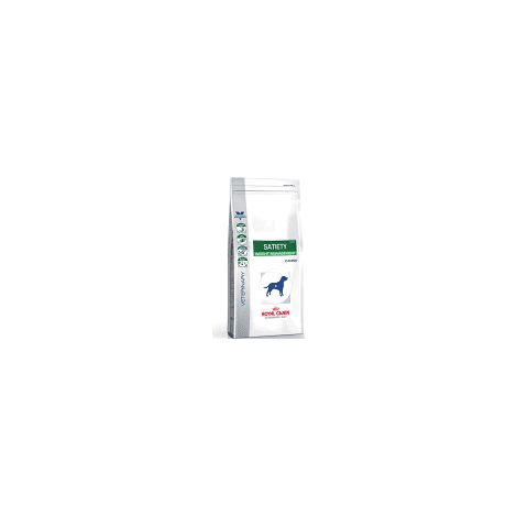 Vdiet dog satiety sac/12 kg