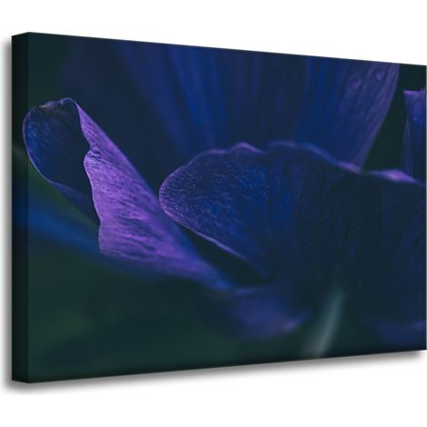Leinwanddruck Botanik Lila Blütenblätter 70x50
