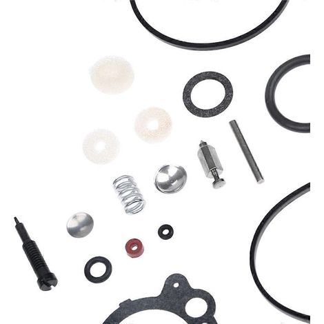 Kit de réparation et de remise en état du carburateur pour outils électriques 492495 et 493762 (1/4)