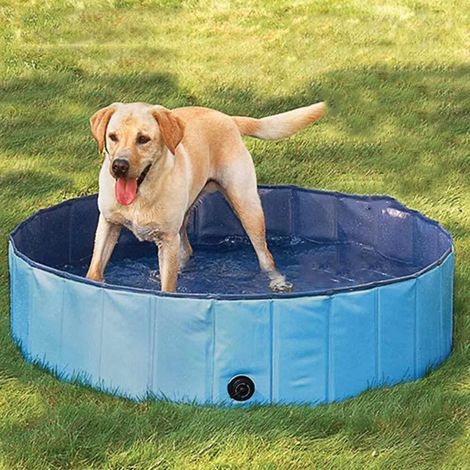 MINKUROW Forever Speed Piscina Para Perros, Piscina Para Perros, Piscina Para Gatos, Piscina Plegable, Bañera Para Niños, Pvc Ecológico, Antideslizante, Mascotas Bien Selladas, Regalos Para Niños (80  (1/5)