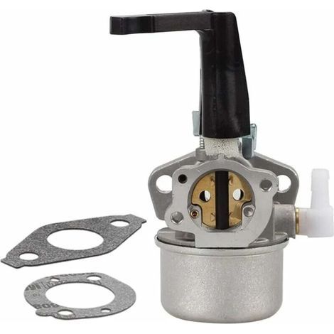 Kit de carburateur pour motoculteur Briggs Stratton 696065 - Pièces de rechange avec joint en métal (1/3)