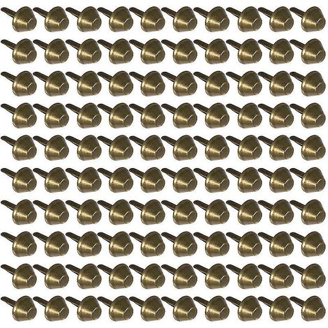 100 clous pour fond de sac (1/3)