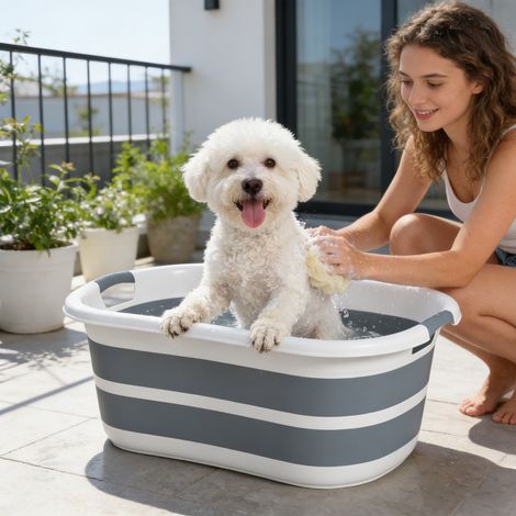 Baignoire pour chien gris pour petits chiens et chiots baignoire pliable et portable avec trou de drainage conception robuste