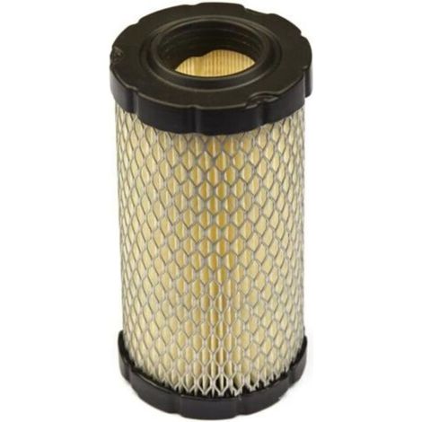 Convient au filtre à air BRIGGS AND STRATTON 796031 (1/5)