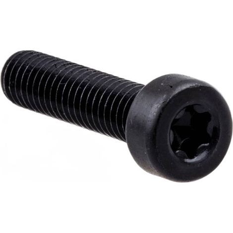 Vis K960 (tête à six pans creux Torx interne M 6 x 25)