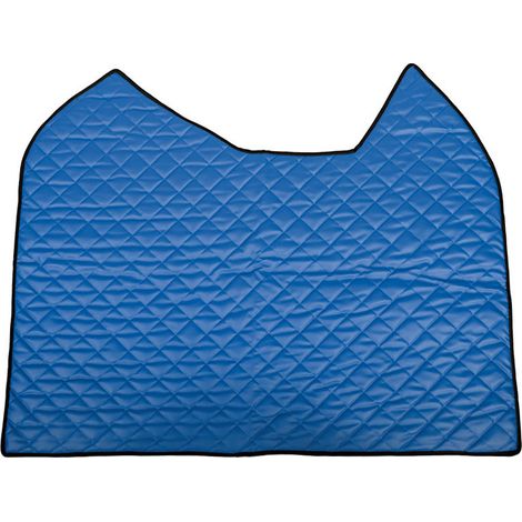 Tappeto centrale in Skeentex - Blu - compatibile per Mercedes Actros MP4 (09/1109/19) cabina larga, sedile pass. pieghevole, tunnel - Mercedes Actros MP5 (10/19) cabina larga, sedile pass. pieghevo