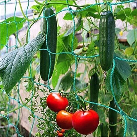 Rowing Net with Large Mesh for a Particularly Good Harvest of Cucumbers, Tomatoes and Other Vegetables and Climbing Plants – Dimensions: 1.82.7m (1/5)