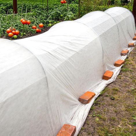 Toile d'ombrage blanche légère 30g/m² 3x5m pour jardin et potager, protection solaire et thermique pour légumes et plantes