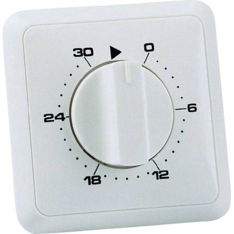 Wallair 20100249 Timer da incasso analogico Giornaliero 3680 W IP20 2 poli