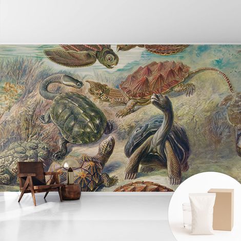 Newroom Tapete Dekorative Vliestapete mit Kleber Modern für Wohnzimmer Schlafzimmer Schildkrötenfauna 416x254 cm (1/5)