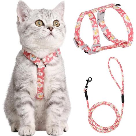 Cat Leash Harness M Pink Anti Escape Adjustable 145 cm Rope Lead for Kitten Cat Adult (1/5)