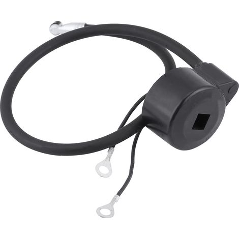 Allumage Bobine Module pour Moteur Tecumseh 30560A 29632 30546 610768 611038 (1/5)