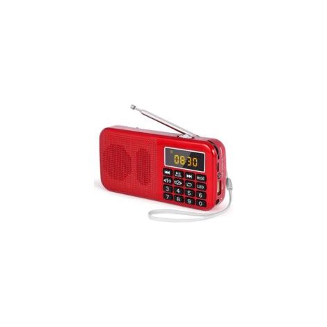 Radio portable FM avec batterie rechargeable 3000mAh – Prise en charge MP3, SD, USB, AUX – Lampe de poche intégrée – 30h d'écoute (1/5)