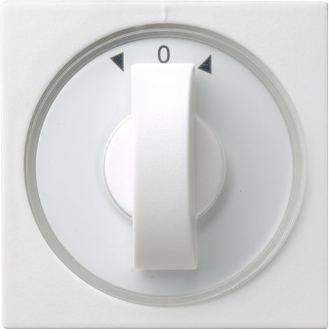 Plaque de finition Gira 066603 finition brillante blanche 10x10 cm