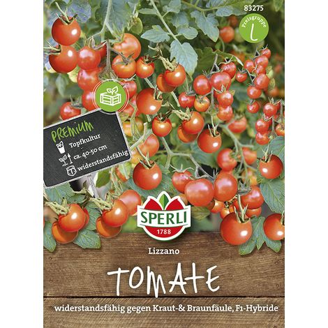 Sperli Tomaten Lizzano  F1 - Gemüsesamen (1/2)