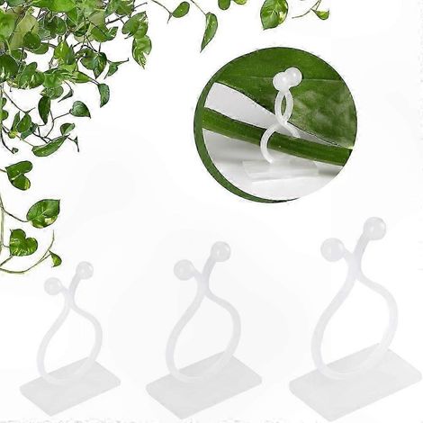 Lot de 100 clips adhésifs pour plantes grimpantes, fixation murale invisible pour la décoration de plantes d'intérieur et d'extérieur (1/5)