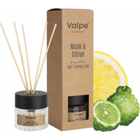 VALPE Duftdiffusor mit Stäbchen MUSK-ZITRUS 50 ml dz50-328