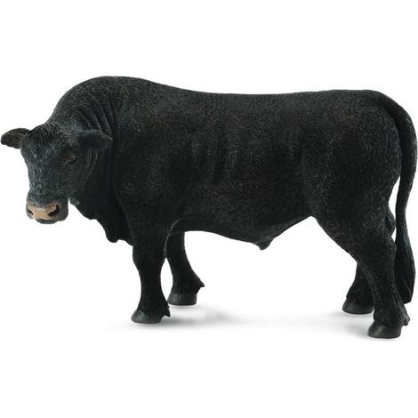 toro Angus negro