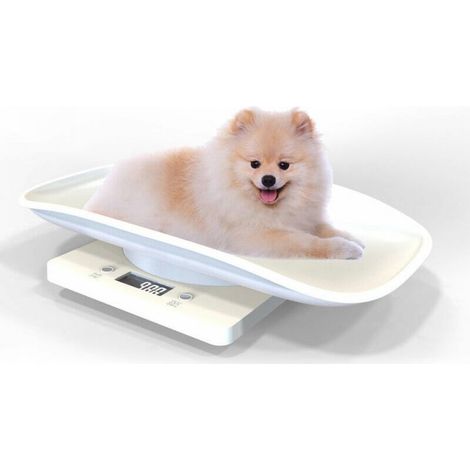 – Pèse-personne numérique pour bébé et animaux jusqu'à 15 kg – Écran LCD rétroéclairé – Arrêt automatique – Plastique ABS blanc (1/4)