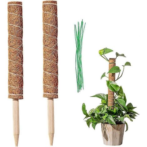 Tuteurs en mousse, lot de 2, 43 cm, compatibles avec les plantes Monstera deliciosa, accessoires pour plantes grimpantes, tuteurs empilables en mousse, tuteurs pour plantes de type cocotier (1/5)