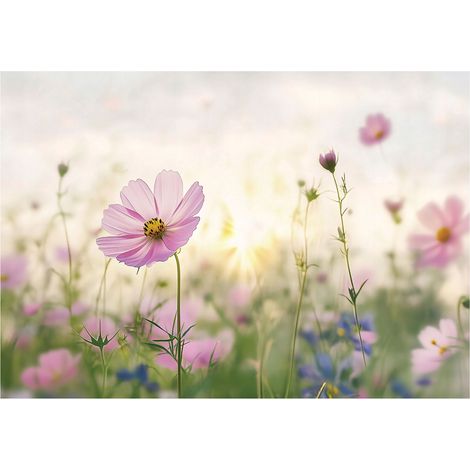 Papier peint intissé fleurs des champs, décoration murale facile à poser – 350 x 250 cm Wallarena