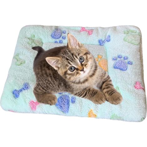 1 Couverture Apaisante Pour Chat, Flanelle Douce, Bords Surélevés, Pour Stress Et Nervosité, Intérieur (1/5)