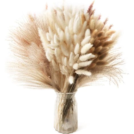 185 Pièces Pampa Séchées Naturelle Décoration Fleurs Séchées Bouquet Séché Décor d'Herbe de Pampa Plantes Décoratives en Herbe Pampa pour Boho Arrangements Mariage Salon Chambre Anniversaire, 42cm (1/5)