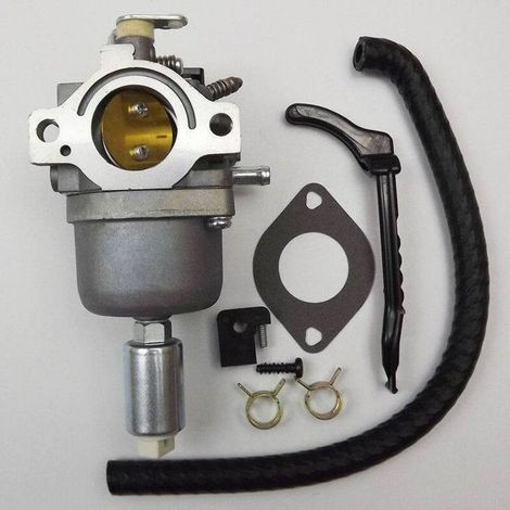 Pièces de rechange pour carburateur destinées aux moteurs Briggs & Stratton modèles 791858, 792358, 793224, 794572 et 795365 - Compatibles avec les moteurs Briggs & Stratton - Ensemble carburateur fac (1/4)