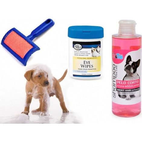 Kit De Toilettage Pour Chien Shampoing Action Adoucissante Lingettes Brosse Poils Courts Cardeur (1/2)
