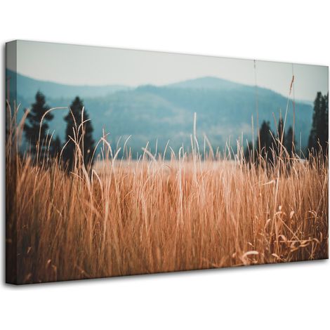 Cuadro sobre lienzo Naturaleza Hojas de hierba 80x50 cm Montañas