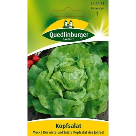 Quedlinburger Kopfsalat Muck - Gemüsesamen (1/2)