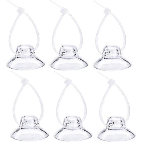 12 Saugnäpfe