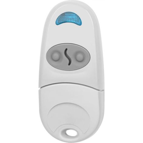 Télécommande Portail - 433,92 MHz - Compatible Système CAME TOP432NA - 1 Pièce (1/5)