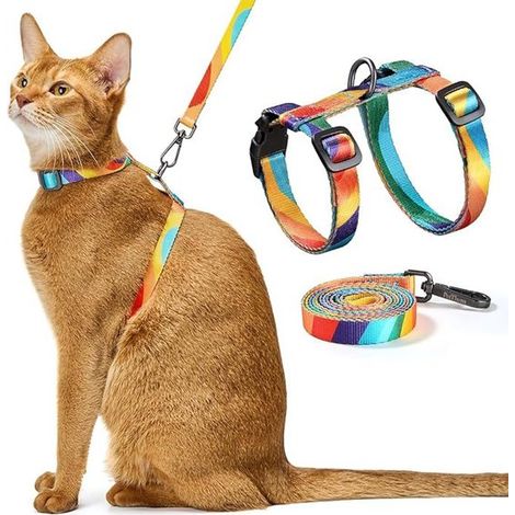 Katzengeschirr und Leinen-Set Ausbruchsicheres verstellbares Katzengeschirr Bequem und weich Leicht Sicheres und einfach zu handhabendes für mit 4 (1/5)