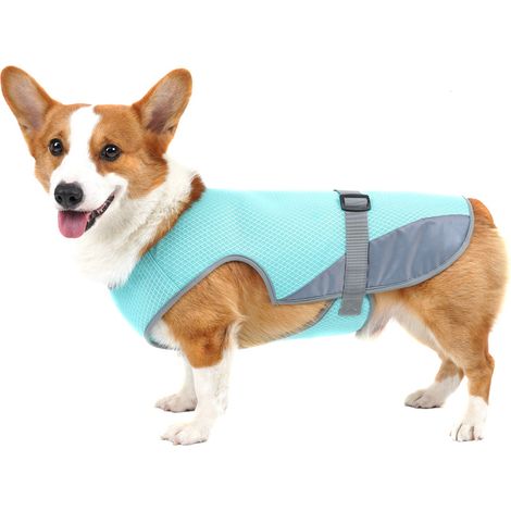 Chaleco refrescante para perros, tamaño ajustable, tejido de malla transpirable, chaqueta refrescante de verano para mascotas (1/5)