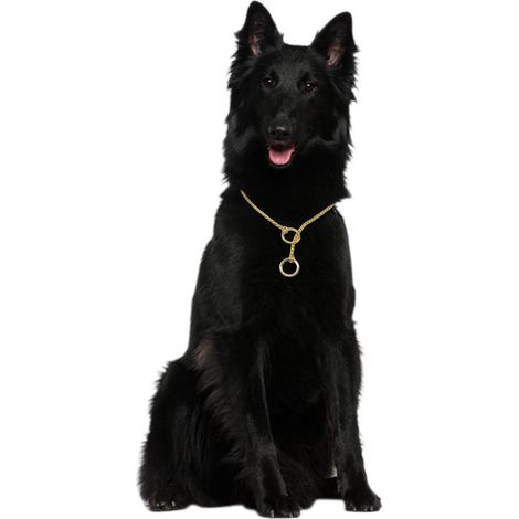 Neues, gedrehtes Metallchoker mit Schlangenkette, ideal für Hundetraining und Ausstellungen (gold, 3 mm x 40 cm)