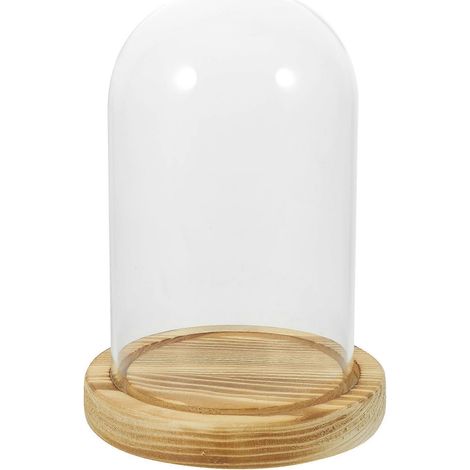 Présentoir pour fleurs séchées avec cloche en verre, support transparent pour fleurs stabilisées-15X9CM-Transparent1 (1/3)