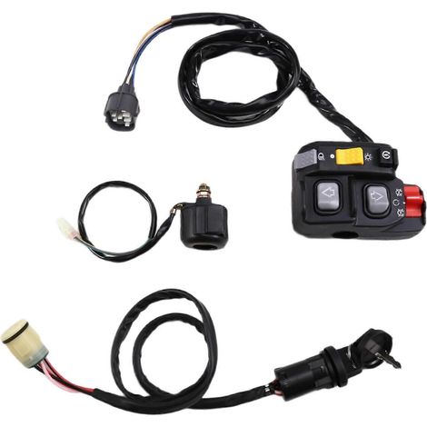 Compatible avec le commutateur à clé d'allumage de guidon Foreman Rubicon 500 TRX500 01-06 35200-HN7-003 (avec relais). (1/5)