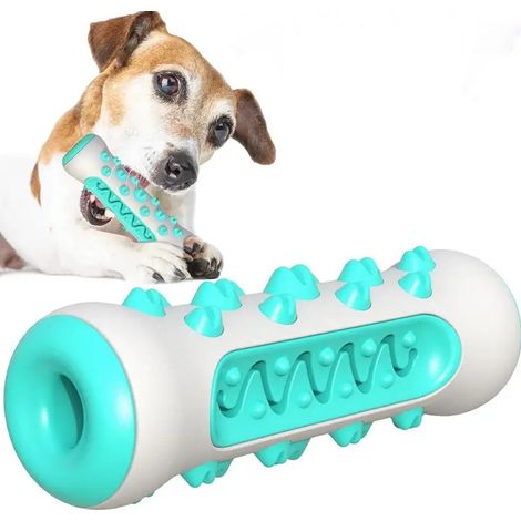 Stick a mâcher pour chien jouet dentaire pour chiots et chiens adultes accessoire pour hygiène bucco dentaire et divertissement