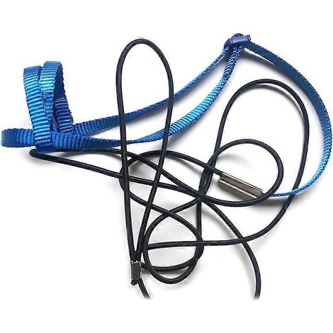 Perroquet royal bleu, corde anti-morsure réglable pour petites perruches, calopsittes et conures, accessoire d'entraînement robuste et confortable.