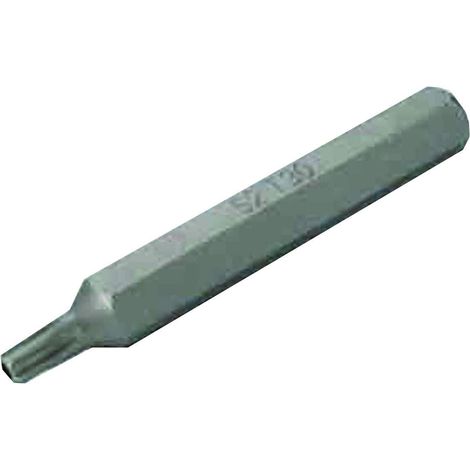 SW-Stahl 04480L30 Schraubendrehbit T-Profil mit Loch T30, lang