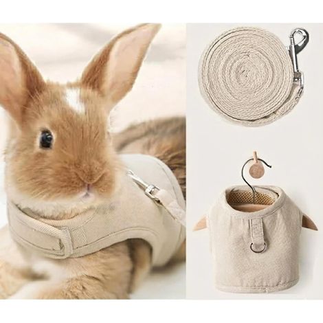 Ensemble Harnais et Laisse Anti-Fugue – Équipement de Marche réglable et réfléchissant pour Lapin, Chien, Chaton, Furet de Petite Taille (Taille M, Kaki) (1/5)