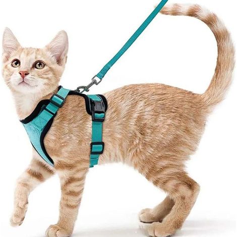 Harnais respirant pour chat - réfléchissant et anti-fugue, convient également aux petits chiens, avec laisse (taille S) (1/5)