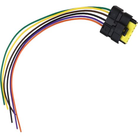 Prise Femelle Connecteur de Faisceau 6 Broches 211PL069S0049 28cm (1/5)