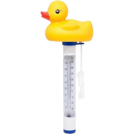 Thermomètre flottant pour piscine, design dessin animé, pour mesurer la température de l'eau des piscines, spas, jacuzzis et aquariums-AquaForge (1/4)