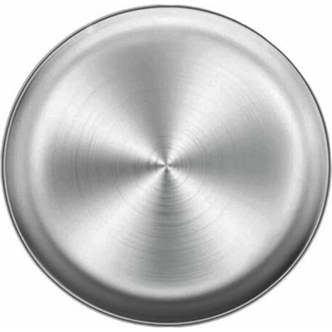 Plat à Pizza en Acier Inoxydable. Plaque de Cuisson à Pizza Ronde Plateau de Four à Pizza en Acier Inoxydable. Plateau de Rangement Multifonctionnel Rond en métal Plateau de Cuisson à Pizza 26 cm (1/4)