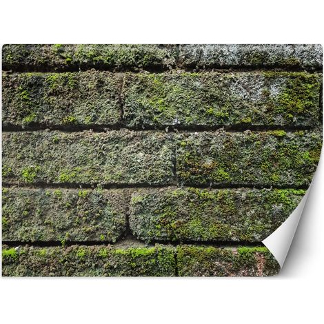 Carta Da Parati, Muro di mattoni vintage - 150x105 (1/5)