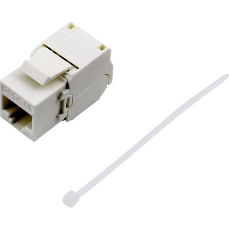 RJ45 femelle CAT 6a TRU COMPONENTS 93038C363 RJ45 femelle, droit blanc 1 pc(s) S935841 (1/3)