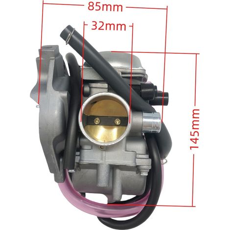 Carburateur 250 300 2x4 4x4 2001-05 Rouge/Vert 0470-427 0470-448