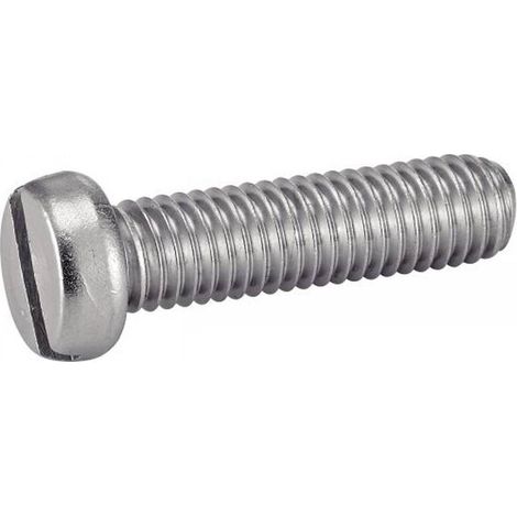 100 Vis à Métaux Tête Cylindrique Fendue 6 x 50 mm - DIN 84 - ISO 1207 - NFE25-127 - UNI 6107 - Inox A4 - D-Work